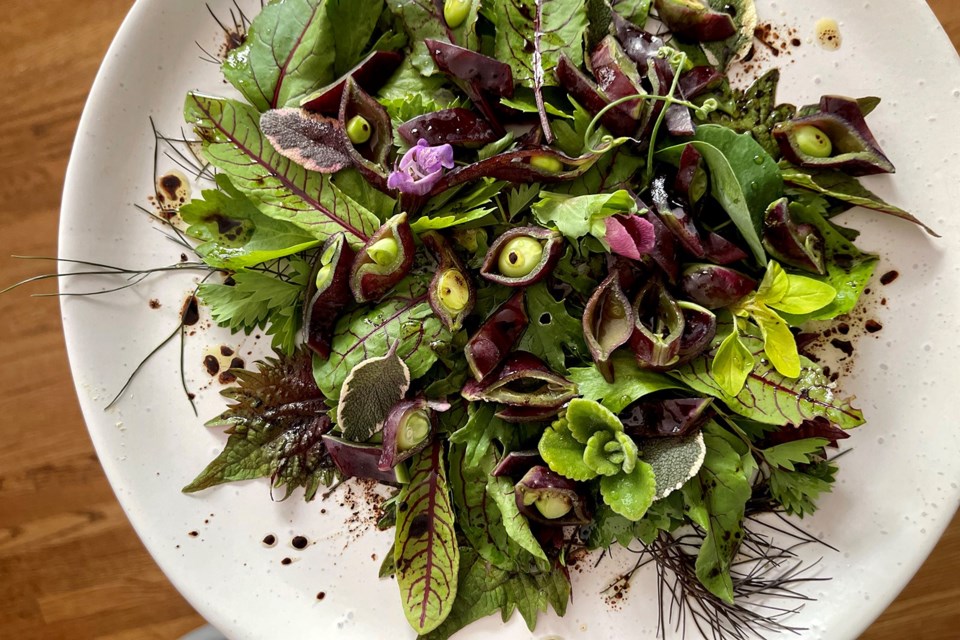 A beautiful mess of shiso, red-veined sorrel, beet greens, herbs, opal fennel and Beauregarde peas. | Laura Marie Neubert 